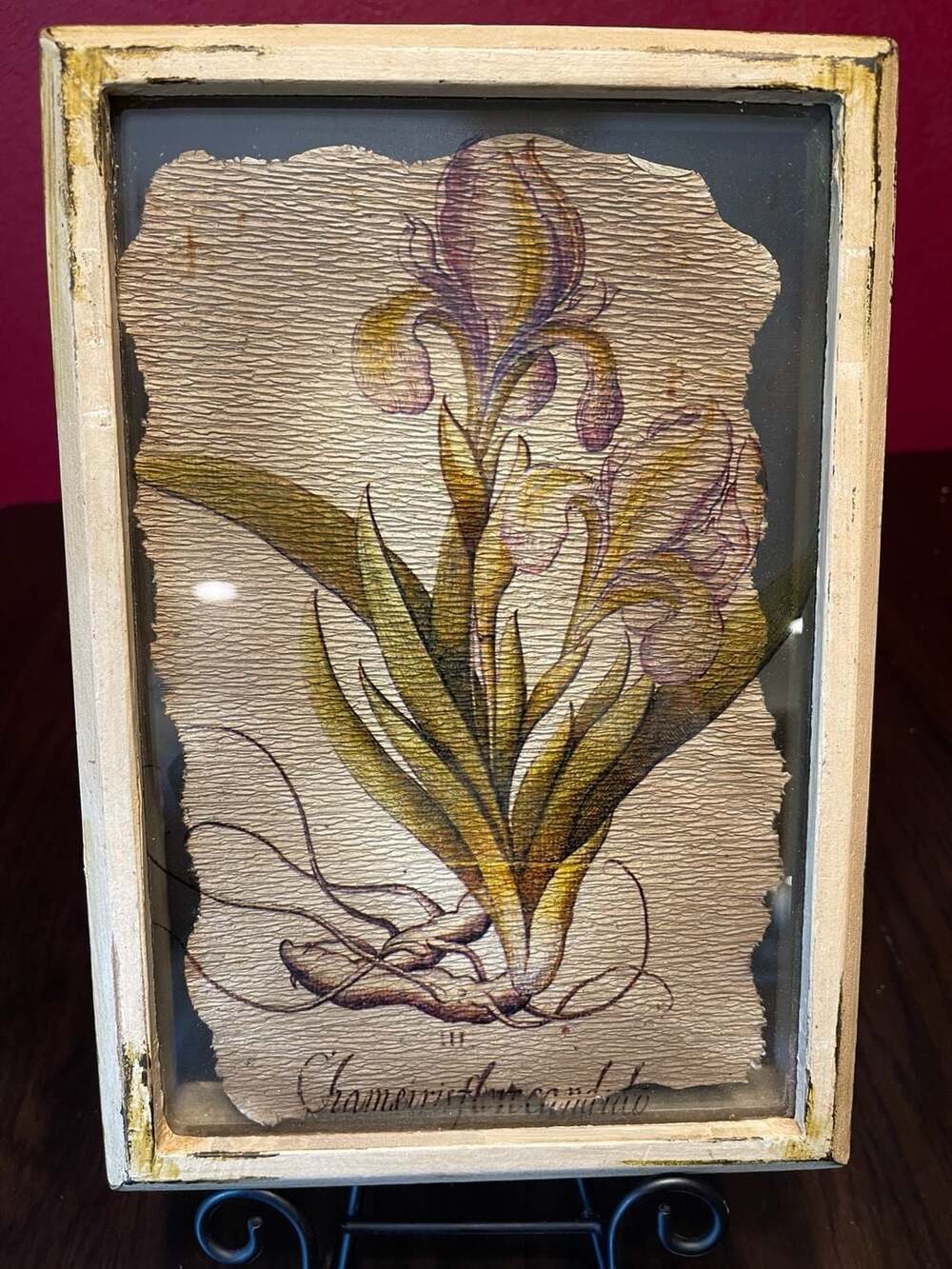 Vintage Botanical Iris Framed Wall Art Distressed Wood